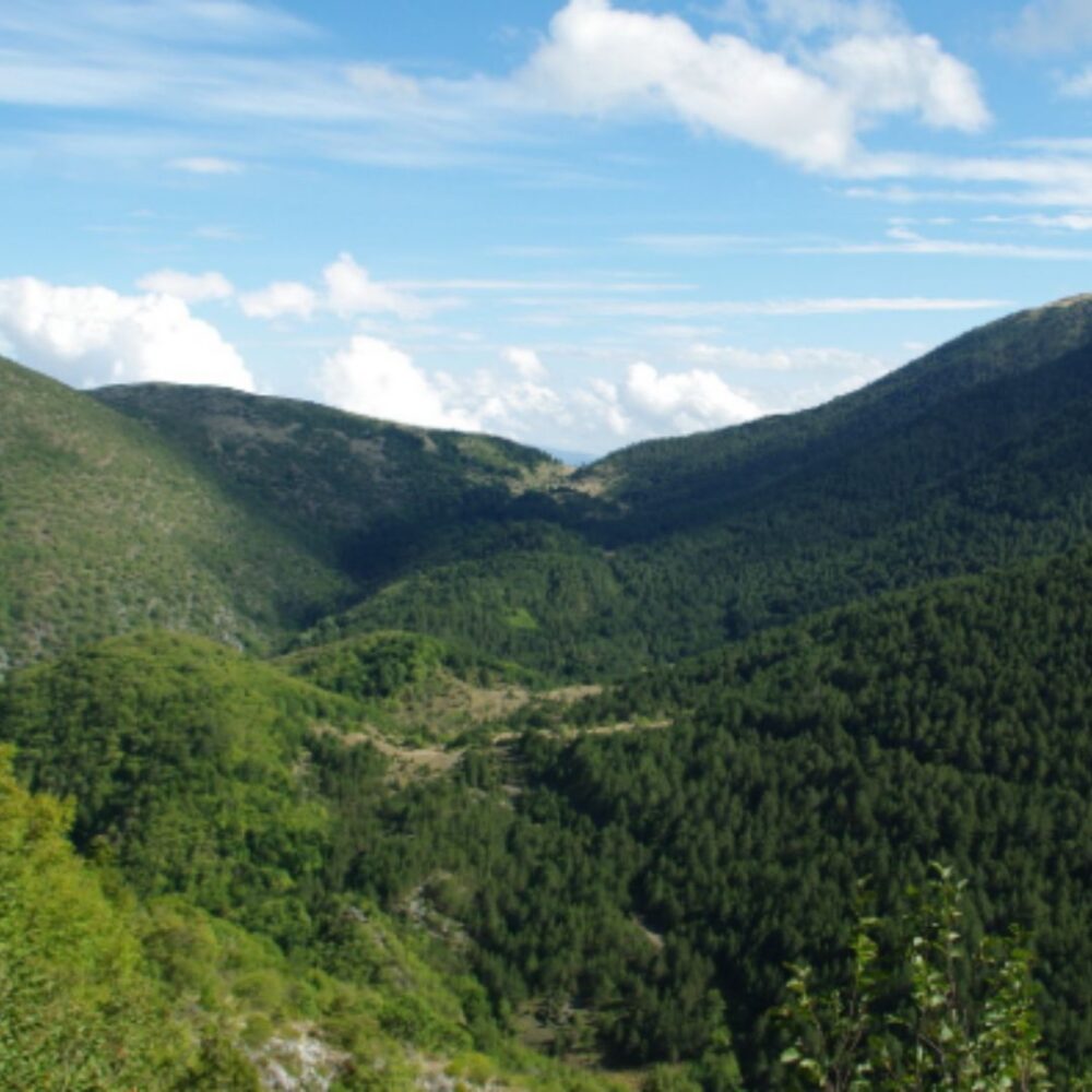 G&eacute;oparc Thetys Kozani